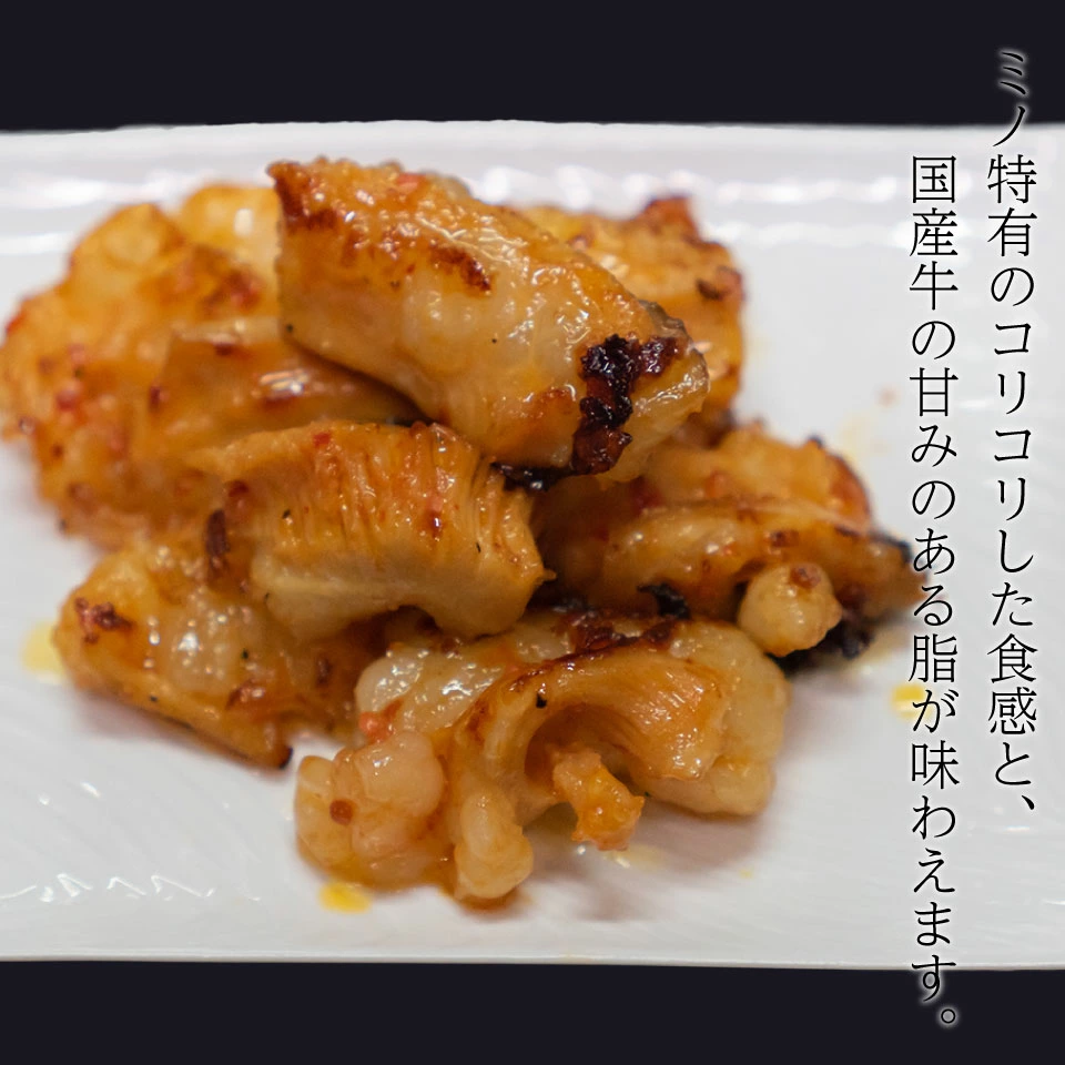 サンドミノとは？
