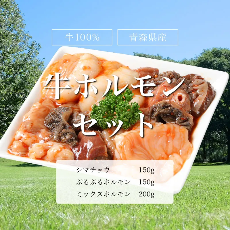 牛ホルモンセット