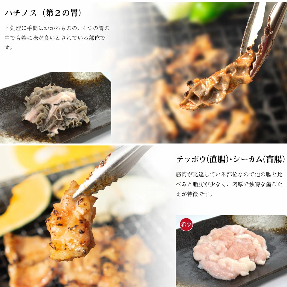 ハチノス テッポウ