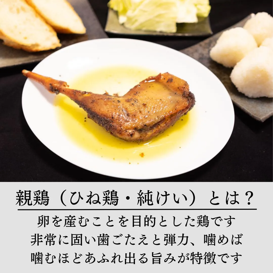 親鳥について