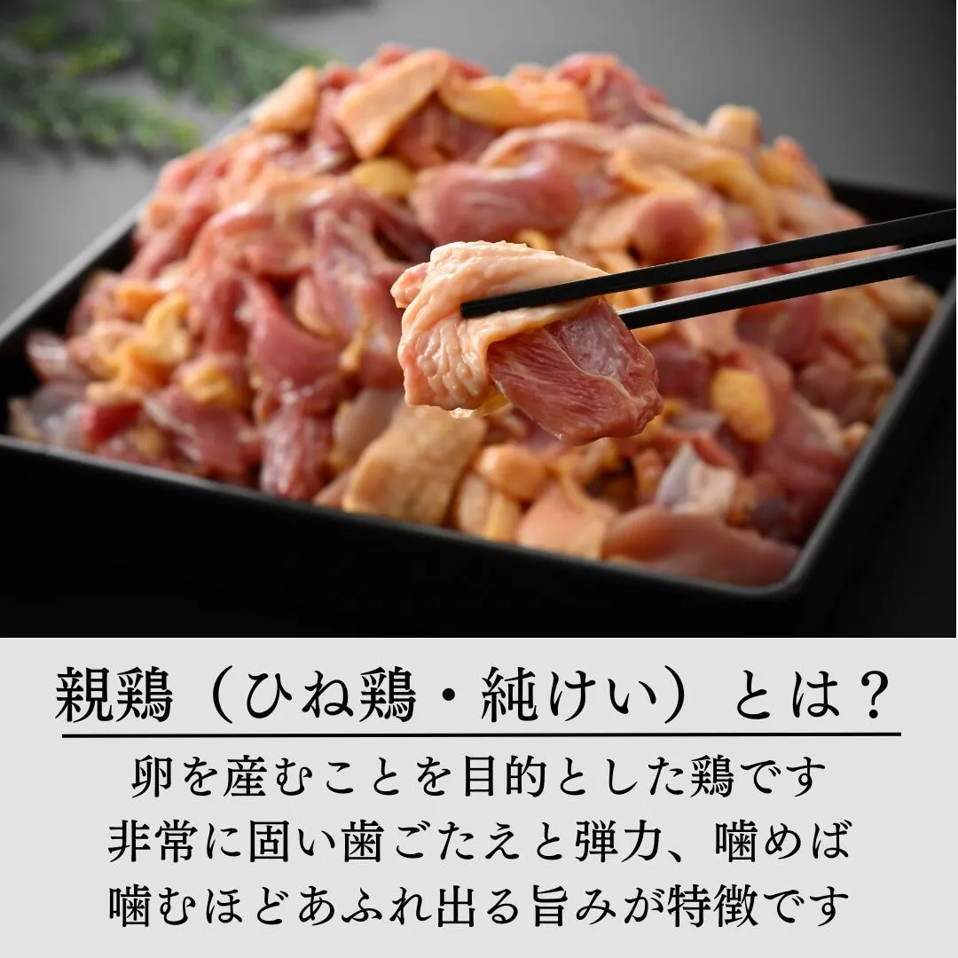親鳥（ひねどり・純けい）とは？