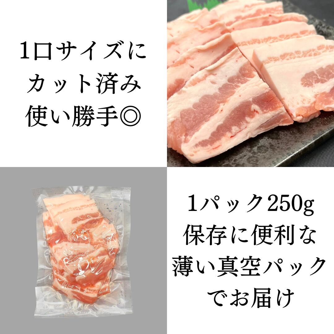 真空パックでお届け
