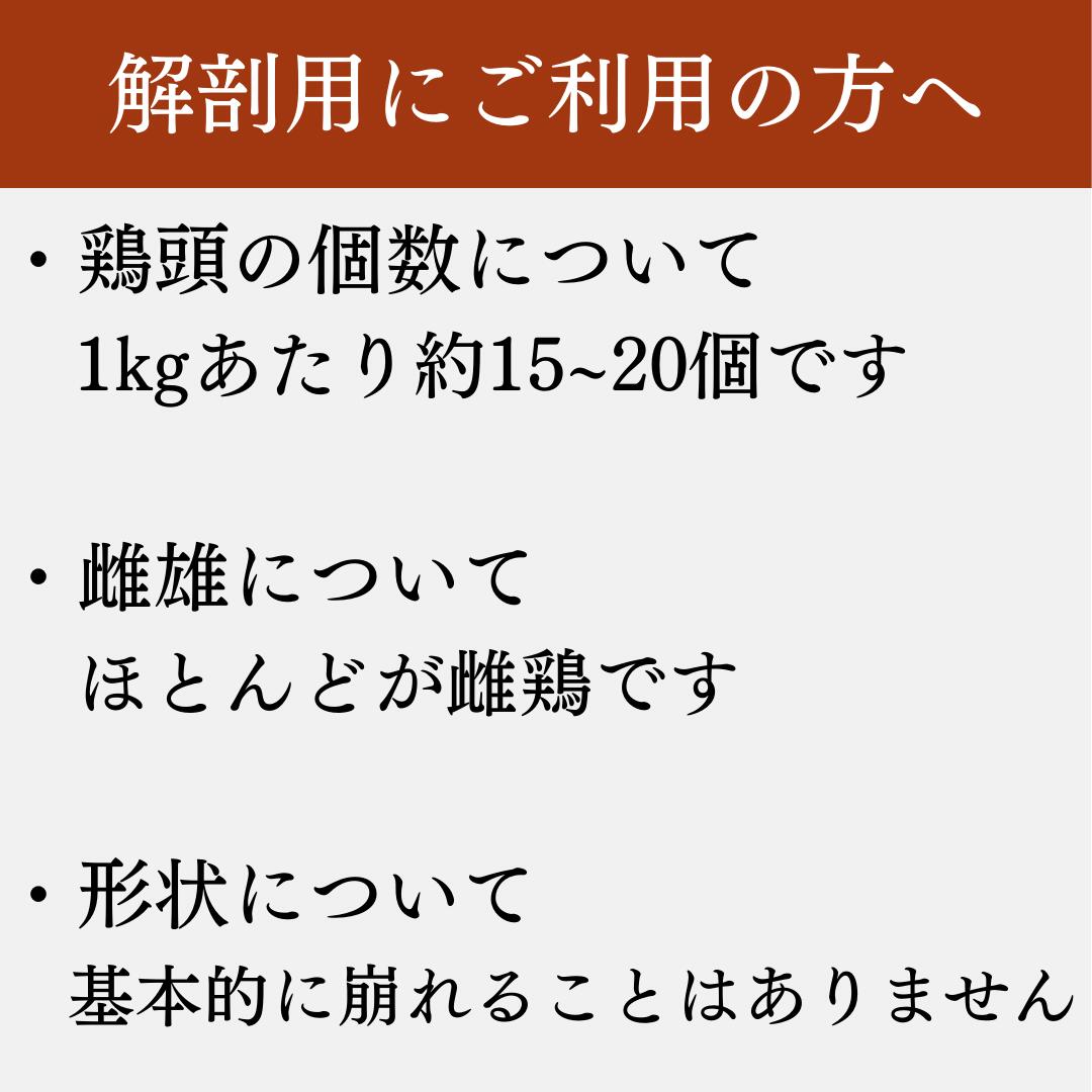 解剖用にご利用